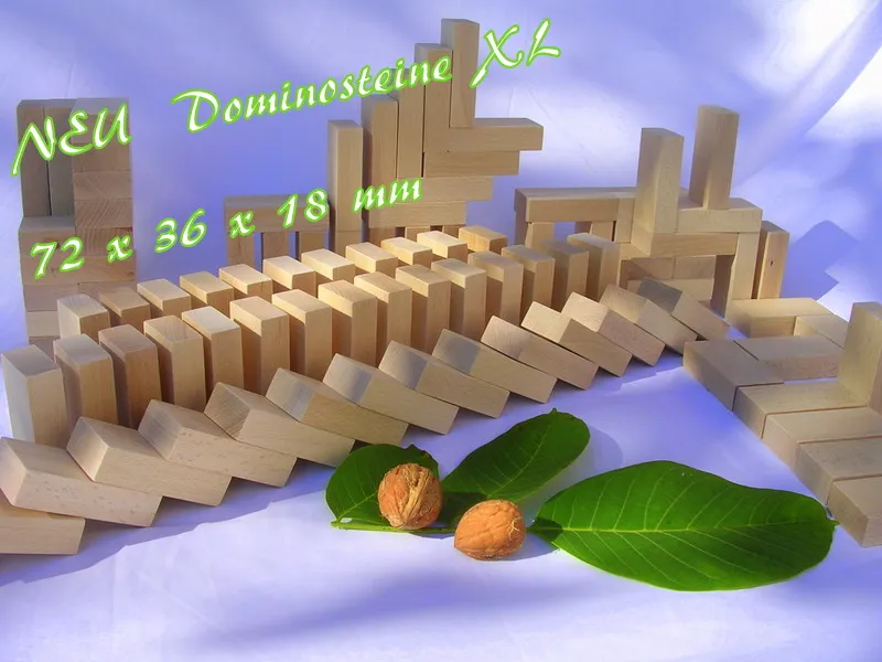 1000 Stk Dominosteine Dominoday 2010